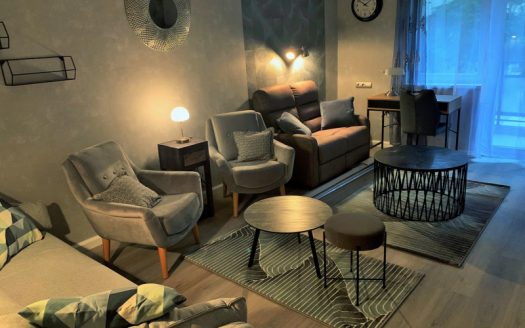 Zivatar utca - Kiadó Lakás - (fi838)