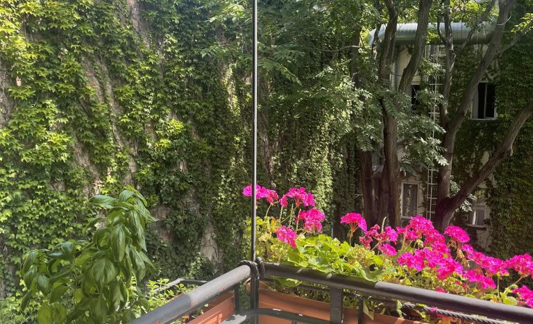 Sas utca - Eladó Lakás - (chx50120)