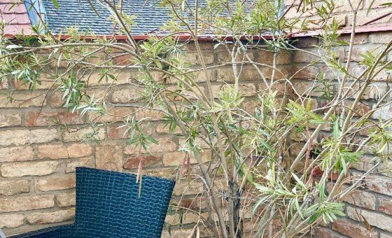 Klauzál utca - Eladó Lakás - (chx56375)