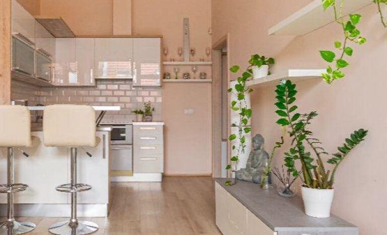 Klauzál utca - Eladó Lakás - (chx56375)