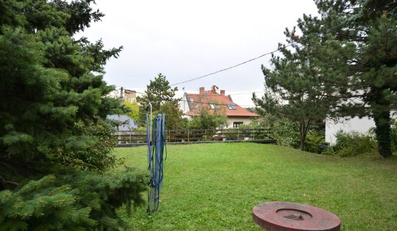 Somorjai utca - Kiadó Lakás - (fi400)