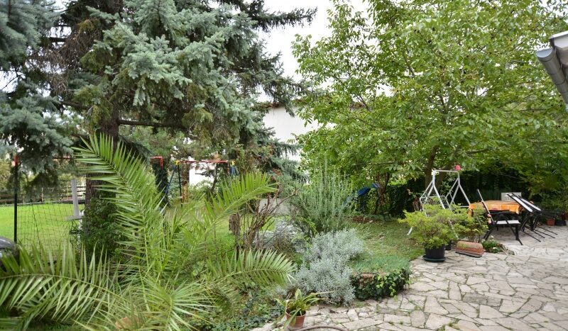 Somorjai utca - Kiadó Lakás - (fi400)