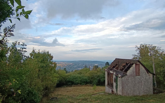 Menedékház utca - Eladó  - (chx56949)