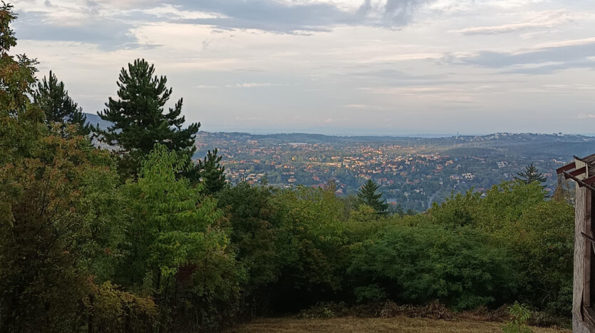 Menedékház utca - Eladó  - (chx56949)