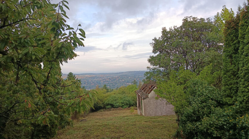 Menedékház utca - Eladó  - (chx56949)