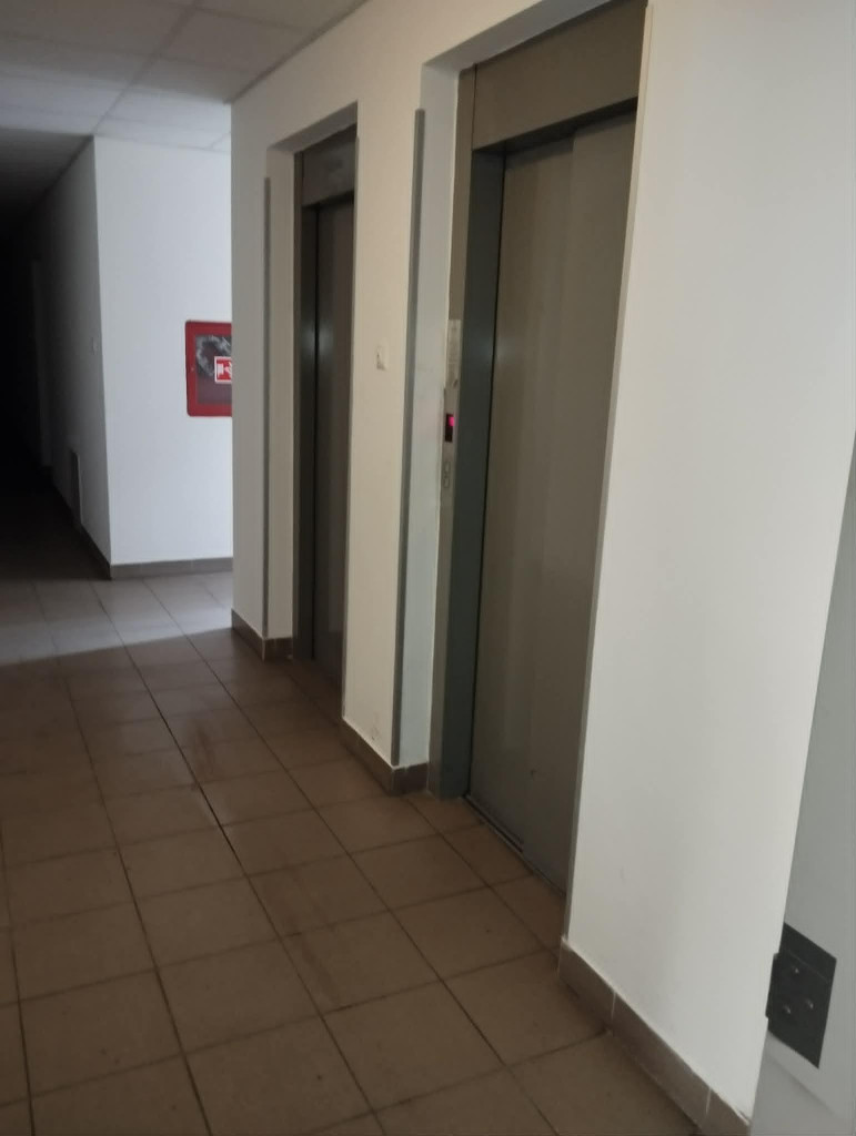 Kép