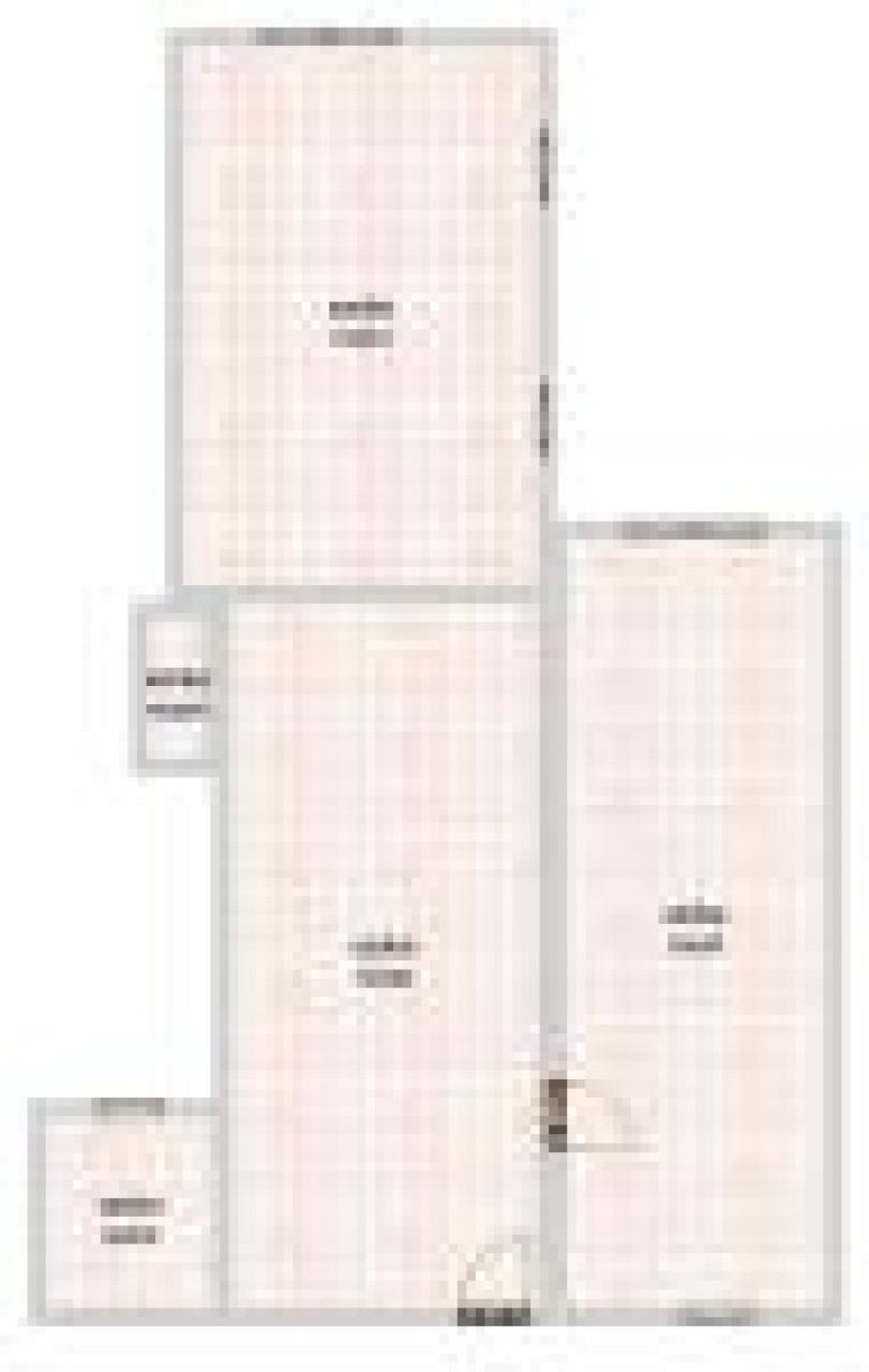 Kép