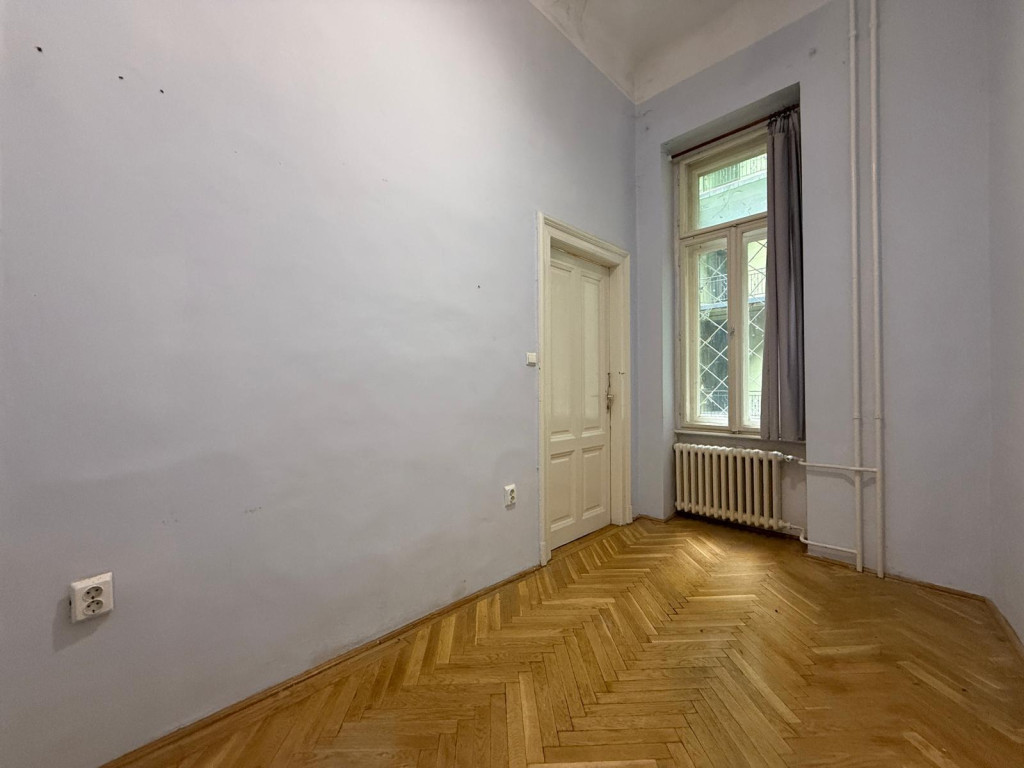 Kép