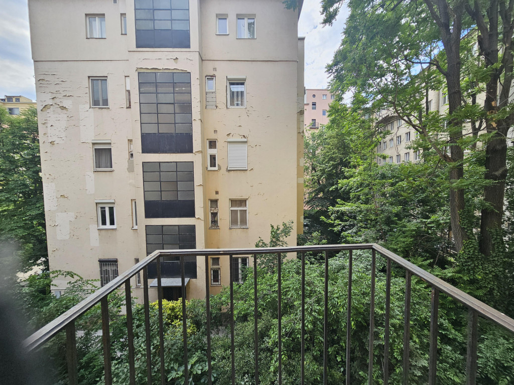 Kép